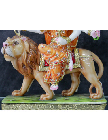 Ambaji Maa Lion Close Up