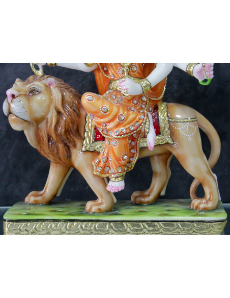 Ambaji Maa Lion Close Up